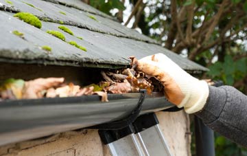 gutter cleaning Lowthertown, Dumfries And Galloway